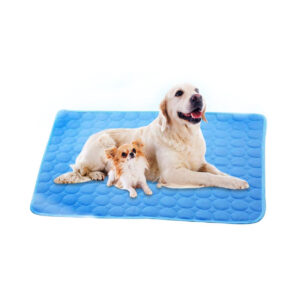 import placeholder for 12533