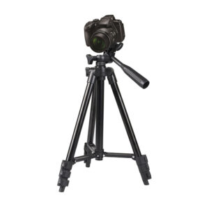 import placeholder for 7881