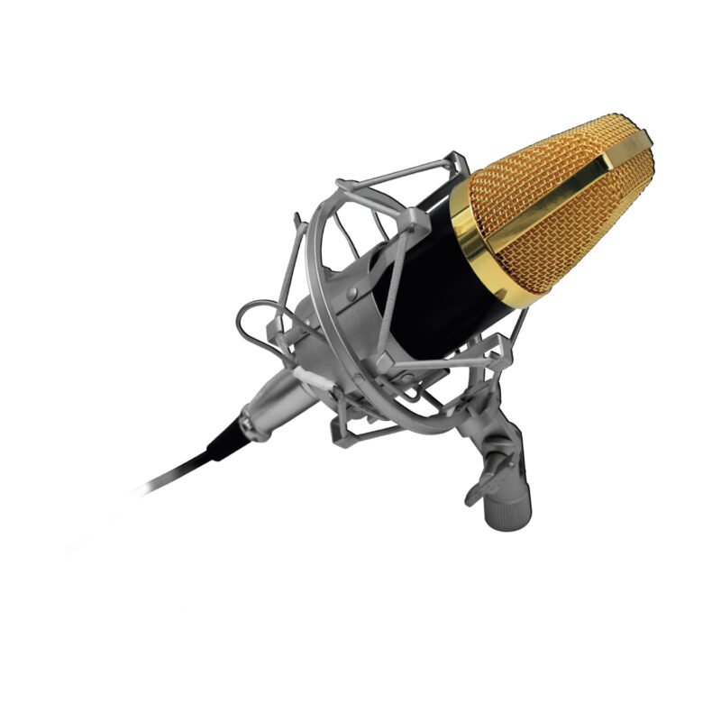 microfono audiopro condensador profesional home studio, cable 180cm — vista 2