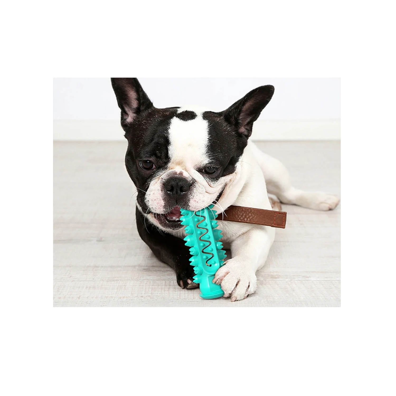 juguete forma de hueso para morder y limpieza de dientes para perros,no toxico/anti estres, superficie suave juguete forma de hueso para morder y limpieza de dientes para perros,no toxico/anti estres, superficie suave