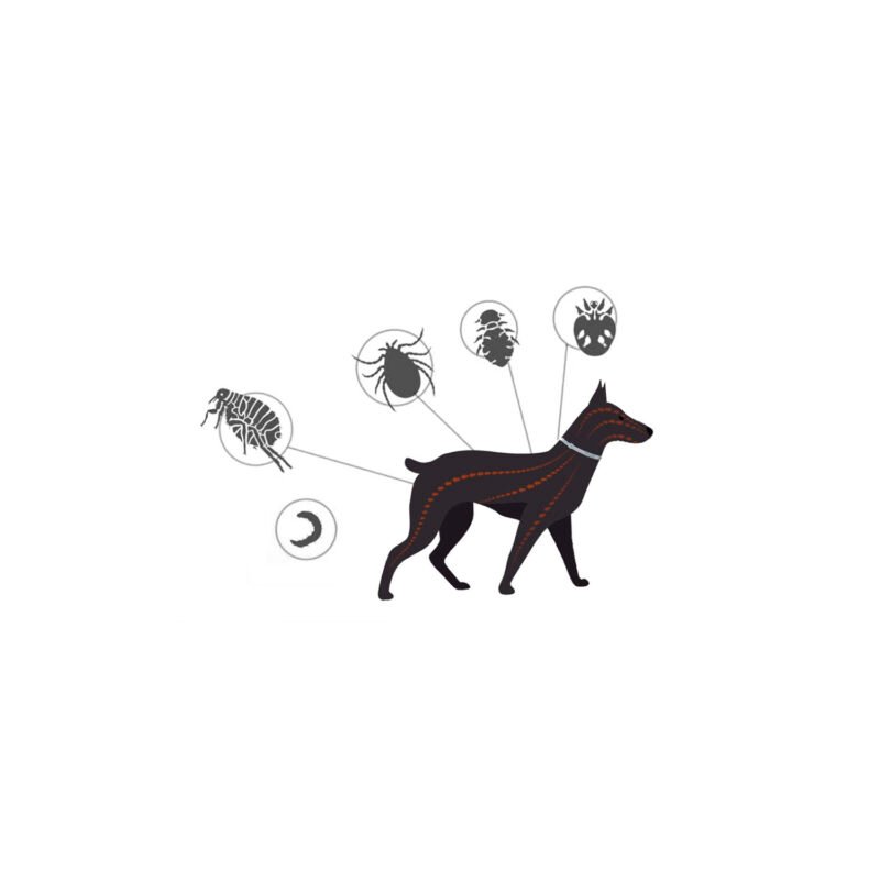 collar antipulgas para perro y gatos, libre de productos quimicos, hasta 8 meses de proteccion — vista 5