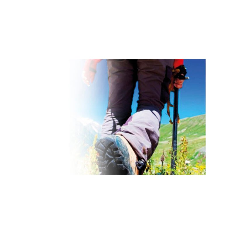 par de bastones para trecking black