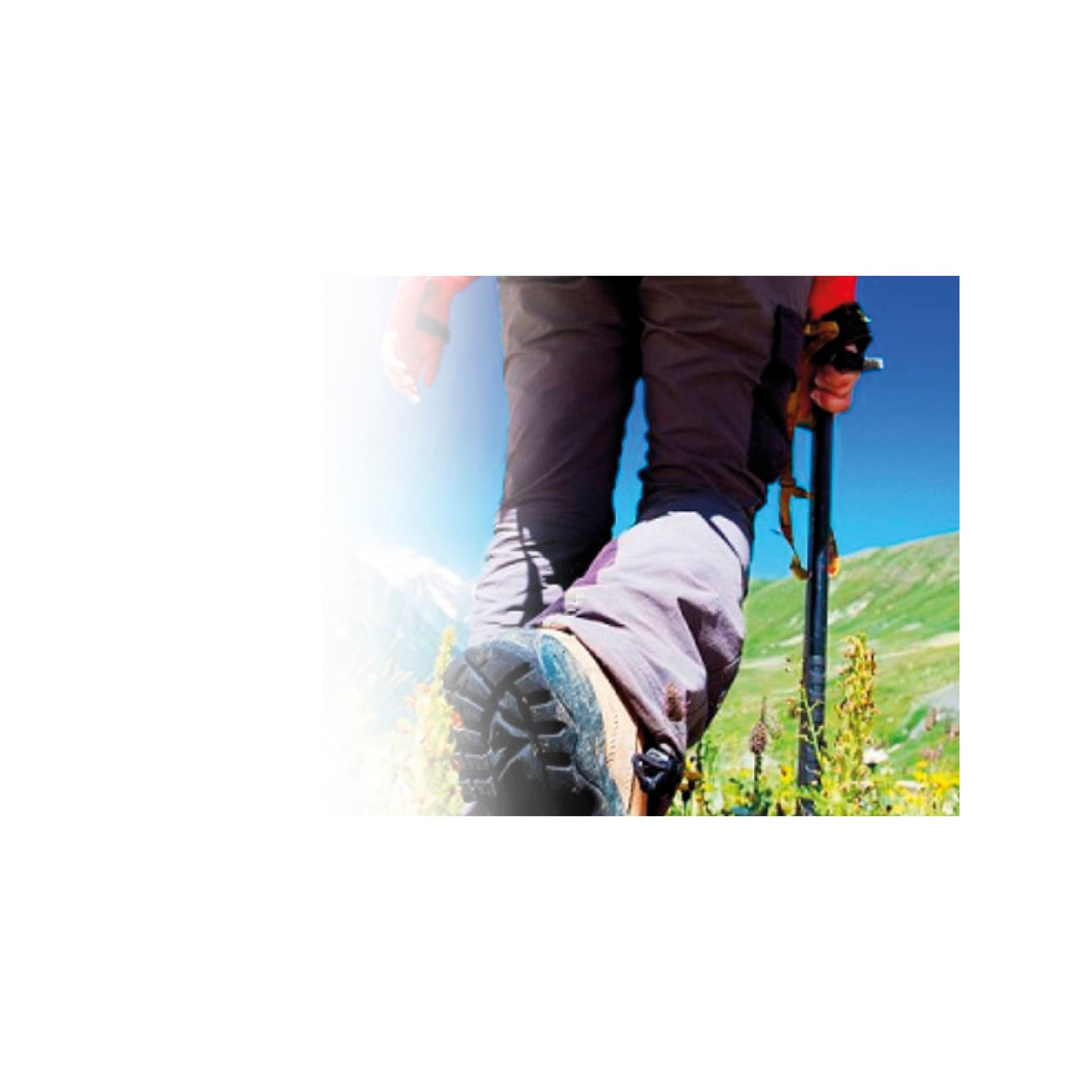 par de bastones para trecking black par de bastones para trecking black