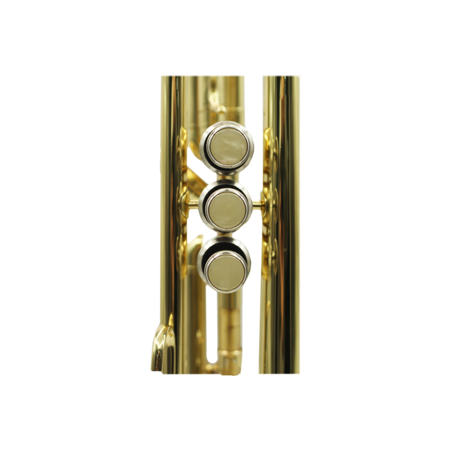 trompeta en si bemol trompeta en si bemol