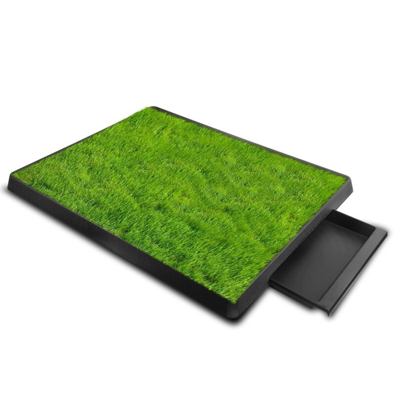 baÑo ecologico para perros y gatos