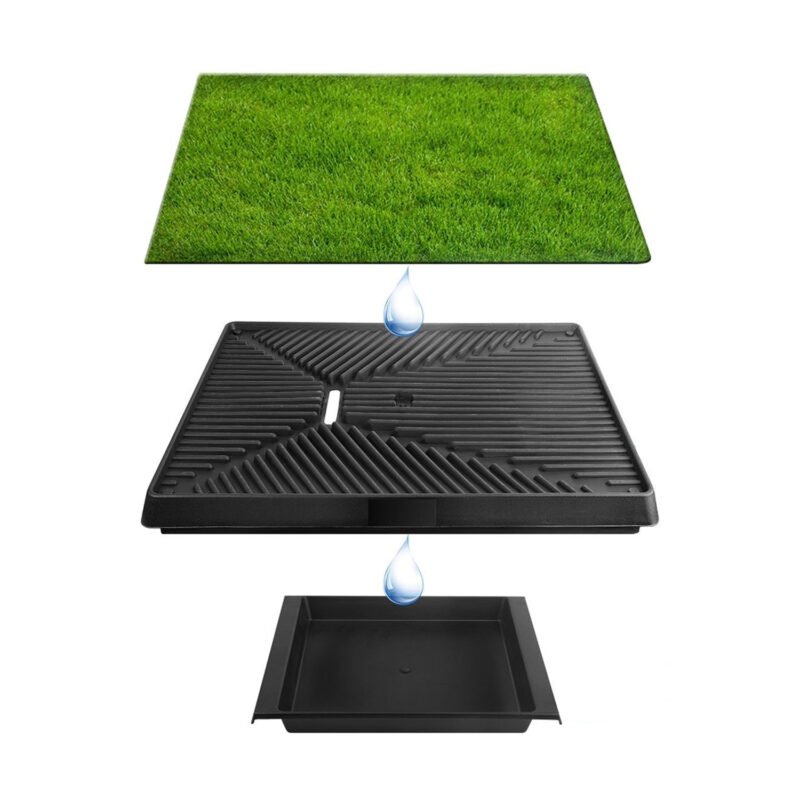 baÑo ecologico para perros y gatos — vista 2