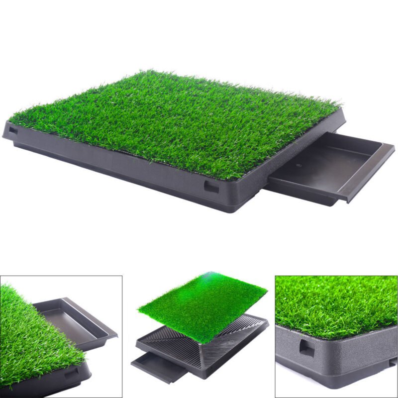 baÑo ecologico para perros y gatos — vista 4