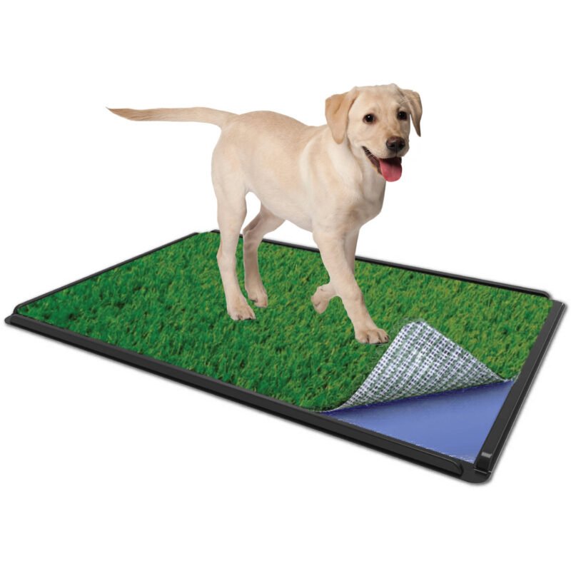 baÑo ecologico para perros y gatos — vista 7