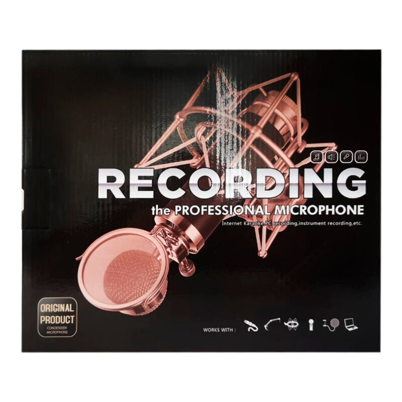 kit microfono de profesional, alta fidelidad, soporte anti vibracion, filtro anti pop. — vista 7
