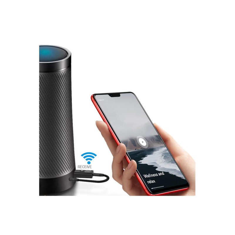 adaptador tecnolab mini bt v5.0, transmite y recibe audio, conexion auxiliar 3.5mm, usb 5v. — vista 3